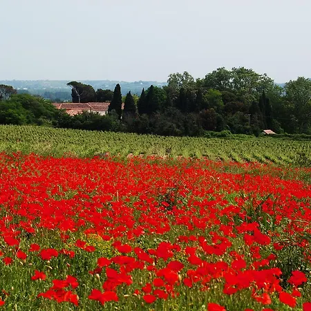 Domaine Saint Ferreol Villa Nizas  Buitenkant foto