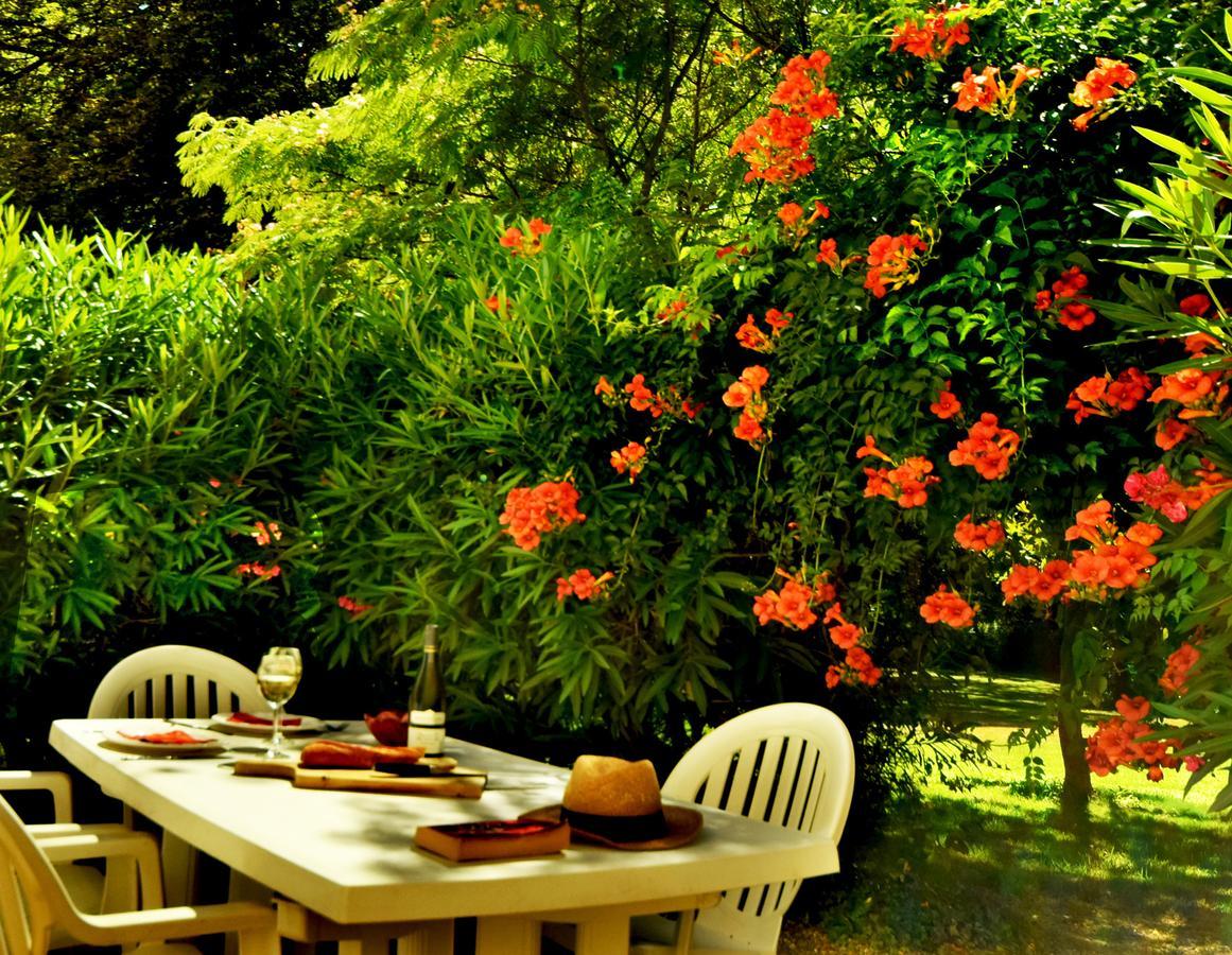 Hébergement de vacances Domaine Saint Ferreol Nizas (Herault)